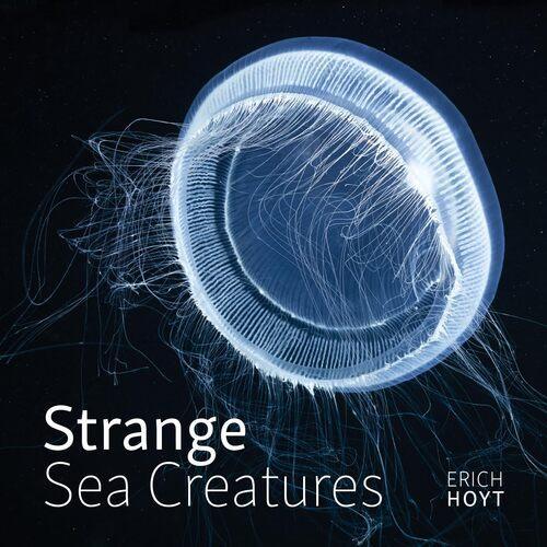 Strange Sea Creatures - by Erich Hoyt - Paperback