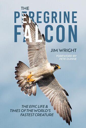 The Peregrine Falcon - by Jim Wright - Hardcover