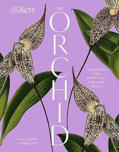 The Orchid - by Lauren Gardiner - Hardcover