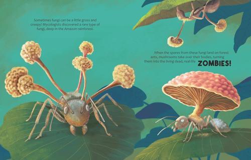 Can Mushrooms Save the World - Children's Book - by Eliza Jeffery - Hardcover