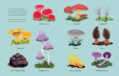 Can Mushrooms Save the World - Children's Book - by Eliza Jeffery - Hardcover
