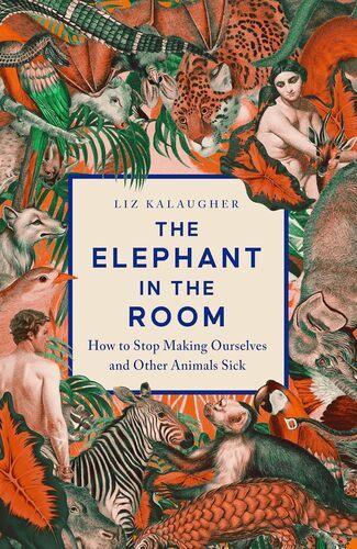 The Elephant In The Room - by Liz Kalaugher - Hardcover