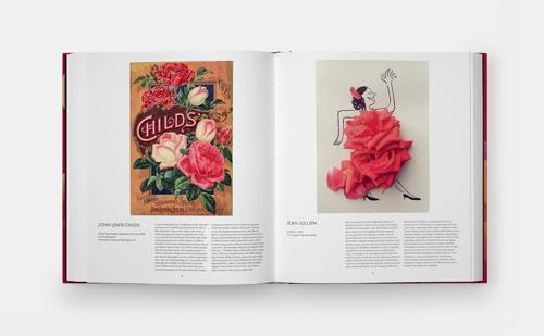 The Rose Book - by Kristine Paulus - Hardcover