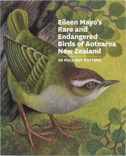 Eileen Mayos Rare and Endangered Birds of Aotearoa New Zealand 30 Pull Out