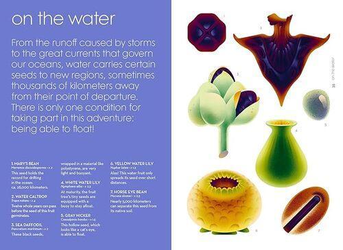 Seeds Natures Intrepid Miracles - by Cruschiform - Hardcover