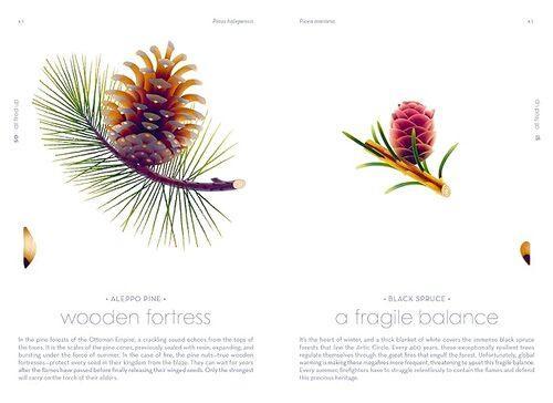 Seeds Natures Intrepid Miracles - by Cruschiform - Hardcover