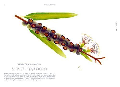Seeds Natures Intrepid Miracles - by Cruschiform - Hardcover