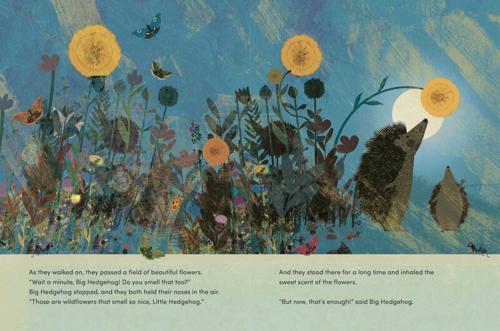 Big Hedgehog and Little Hedgehog Take an Evening Stroll (PB) - Paperback