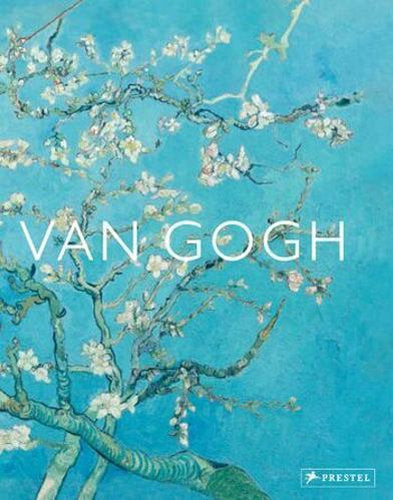 Van Gogh The Bigger Picture - by Anne Sefrioui - Hardcover