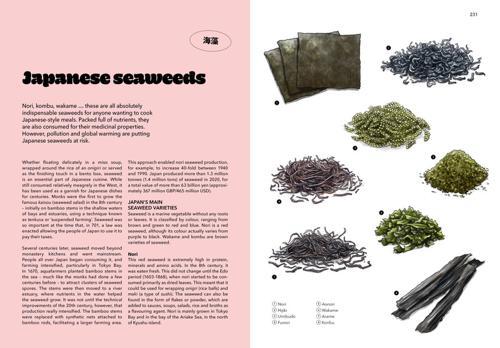 Japan A Culinary Travel Diary - by Clemence Leleu - Paperback