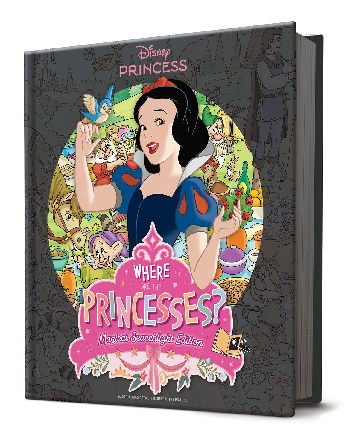 Where are the Princesses?: Magical Searchlight Edition