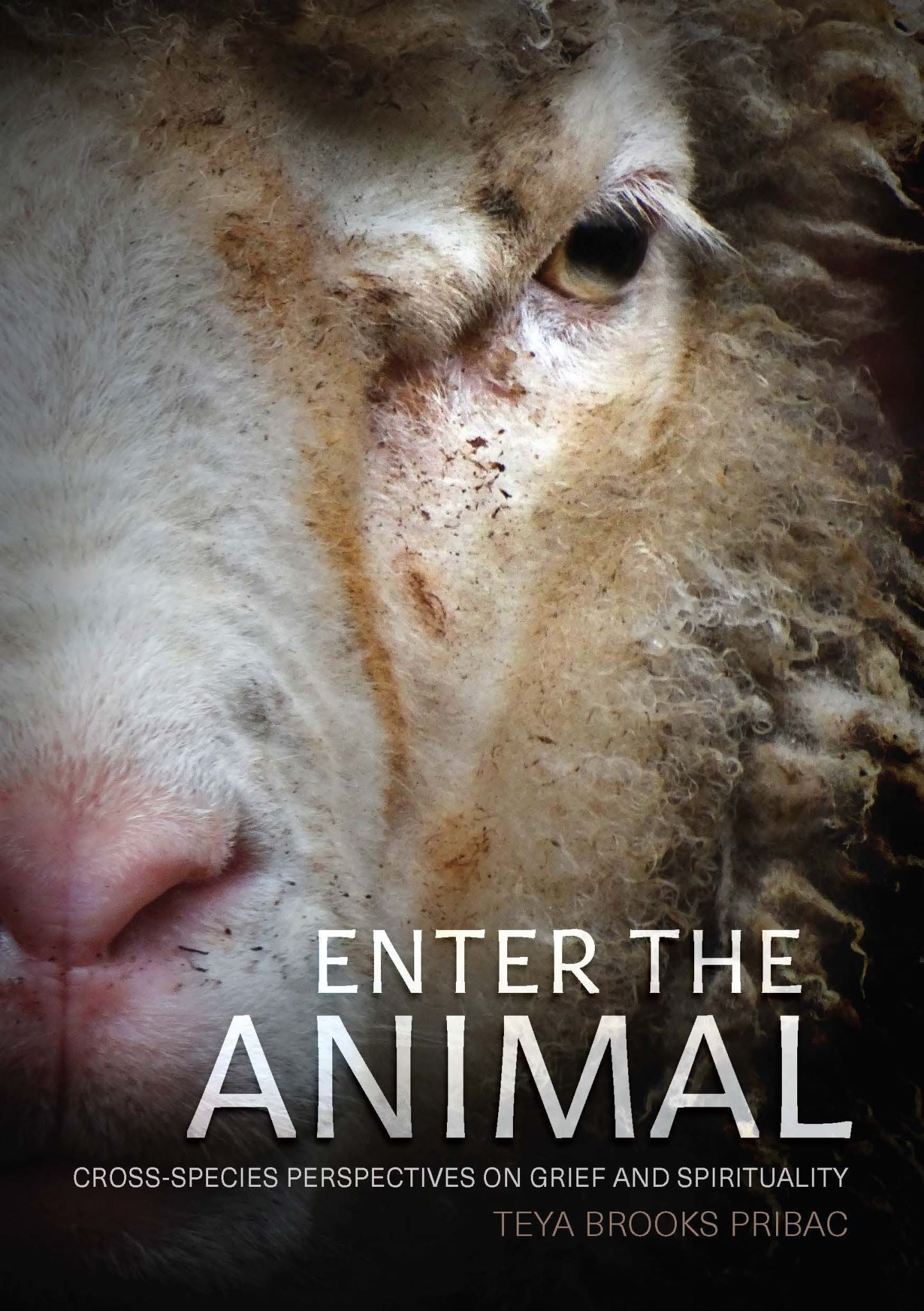 Enter the Animal