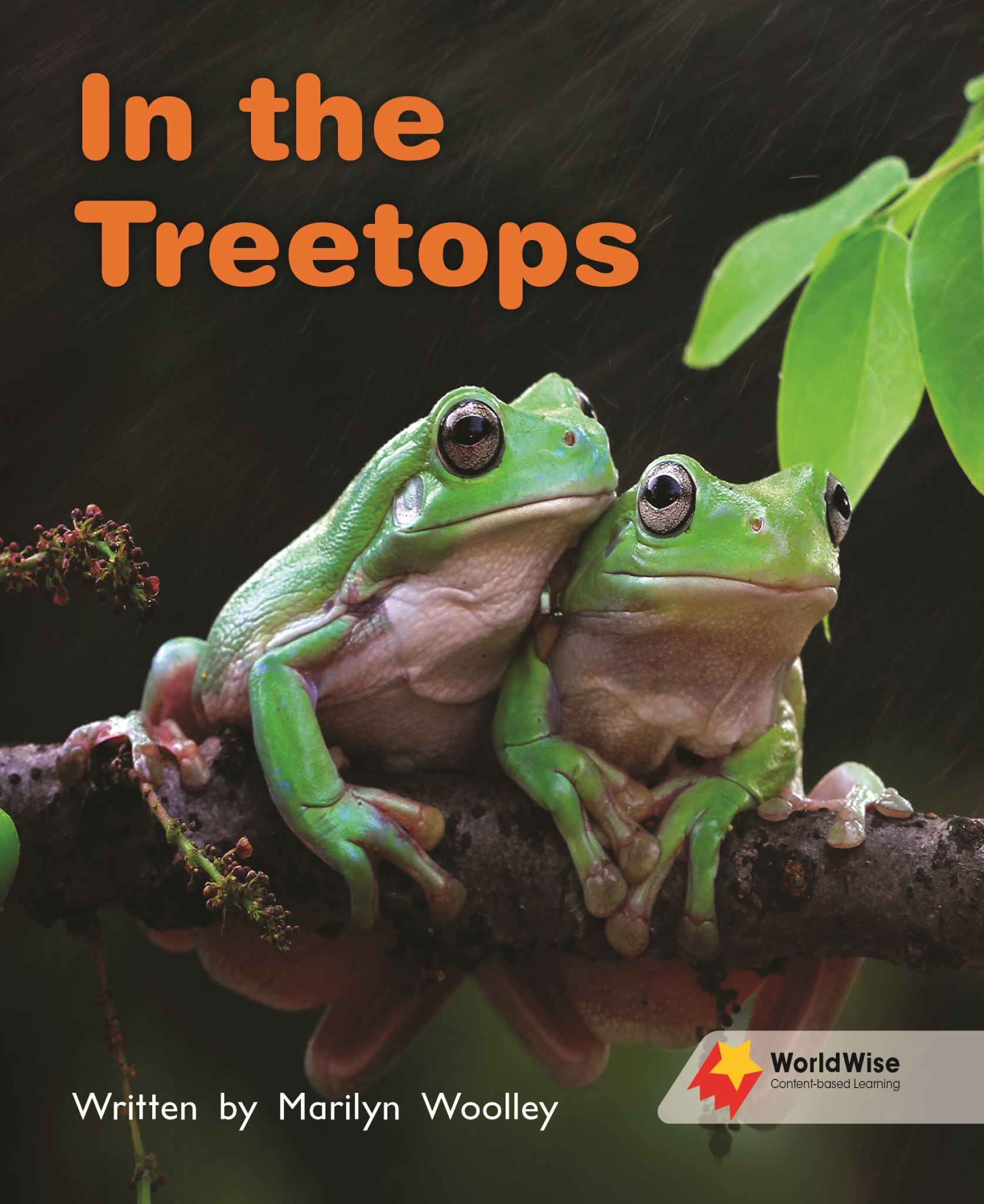 In the Treetops