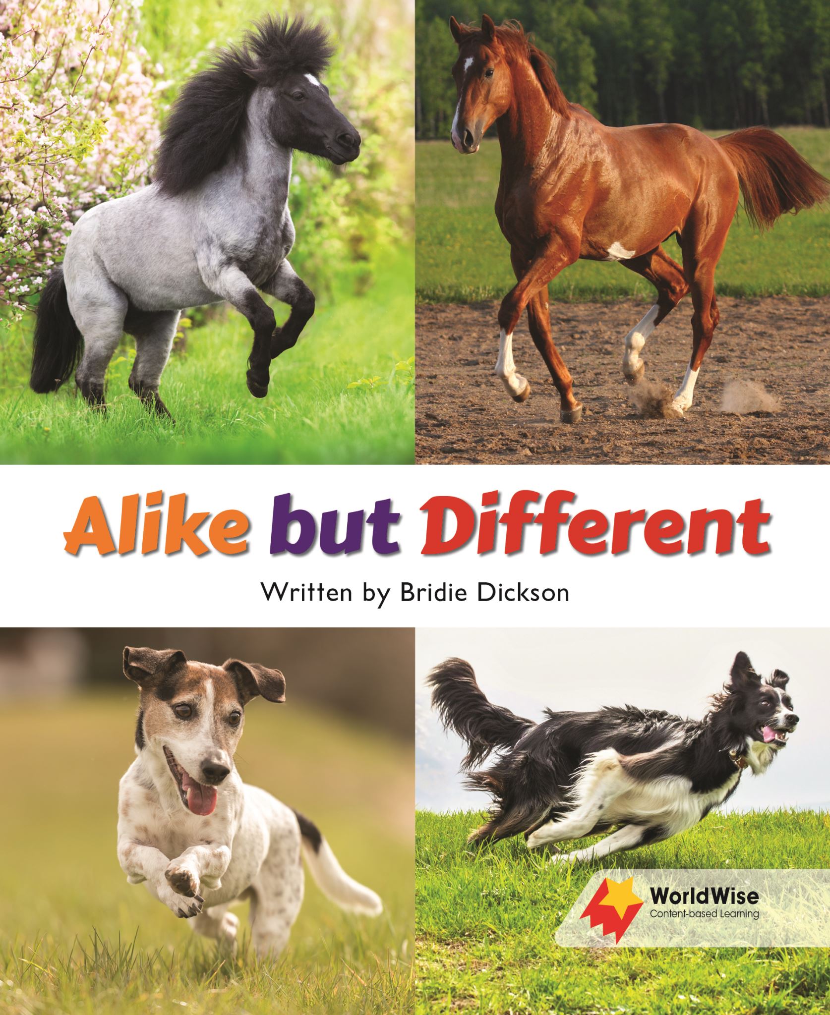 Alike but Different